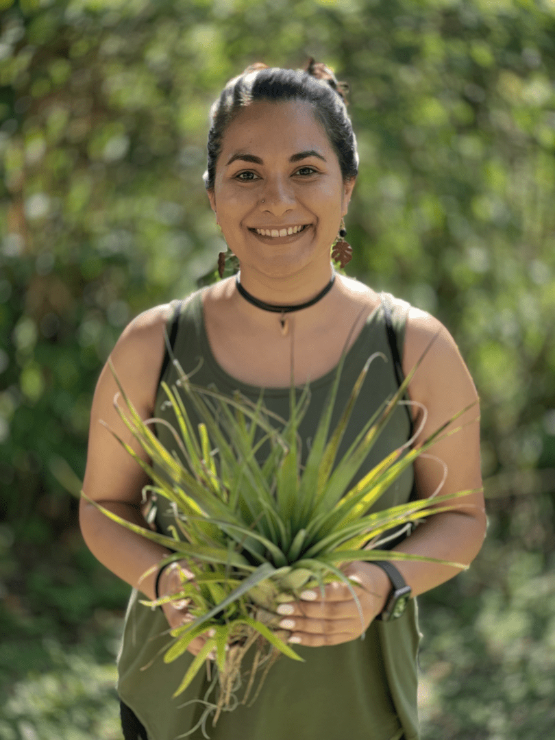 Materia Medica Monthly - The School of Evolutionary Herbalism